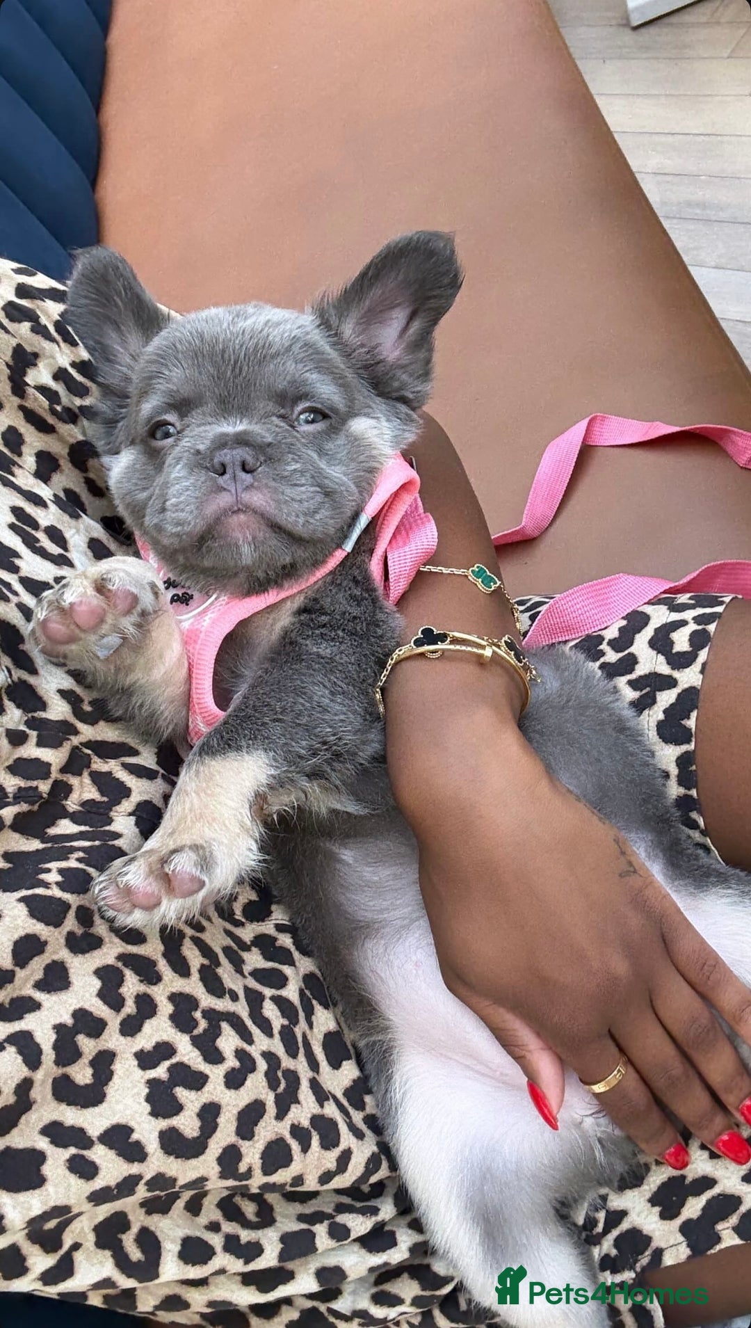 Gallery Image {{count}}