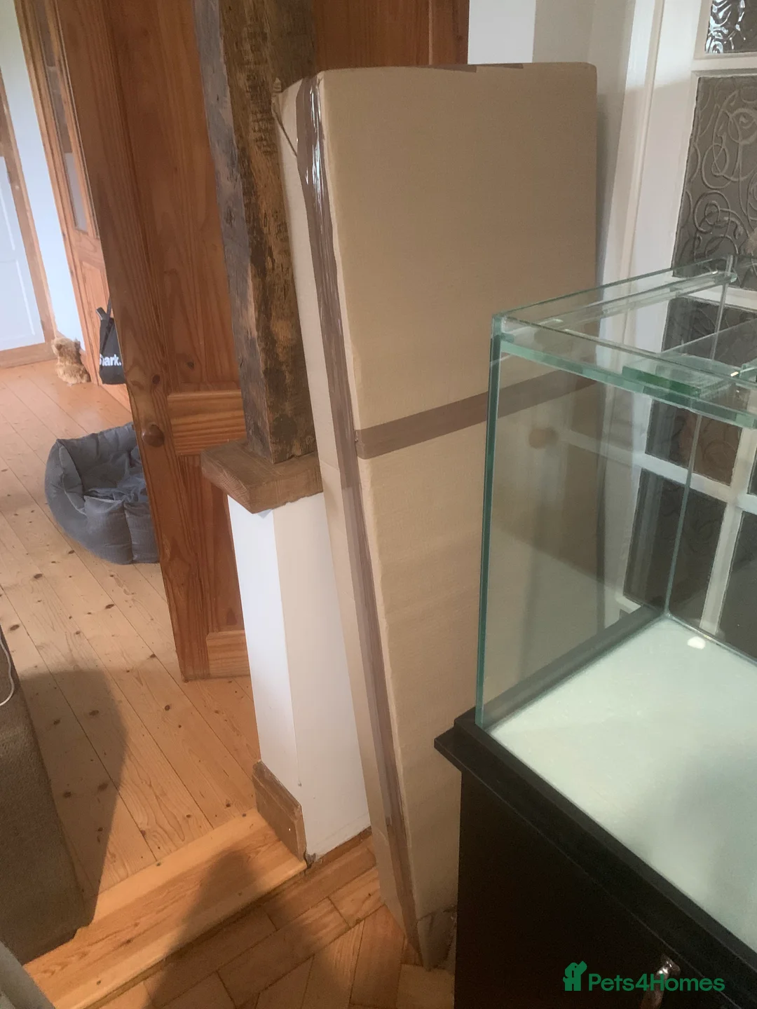 Other/Mixed Breed fish for sale: Brand new 5ft fish tank and stand in Matt blackK - Advert 2