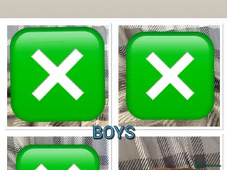 Mixed Breed dogs American pocket bully pups - Advert 7