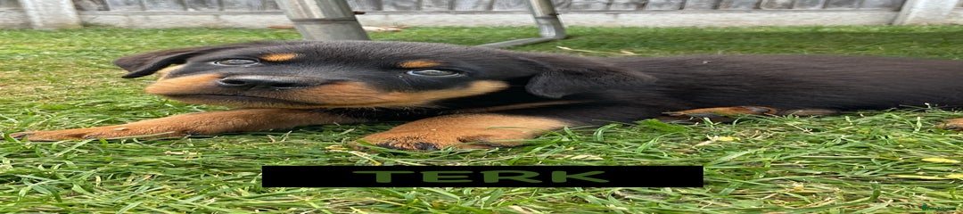 TERK