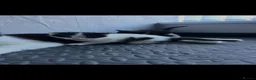 Domestic Shorthair cats for sale: Beautiful Black & White Kittens – Very Socialised - Advert 1