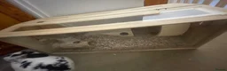 Hamster rodents for sale: black and white syrian hamster - Advert 2