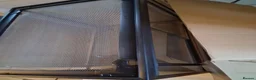 Corn Snake reptiles for sale: Adult male corn snake with 2 vivariums - Advert 9