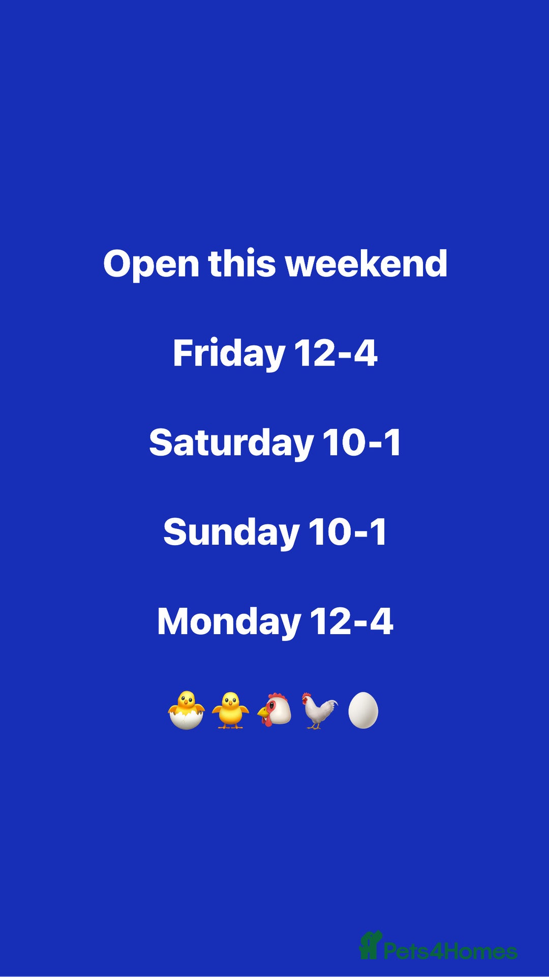 Chickens poultry for sale: Hybrid hens at point of lay  - Advert 10