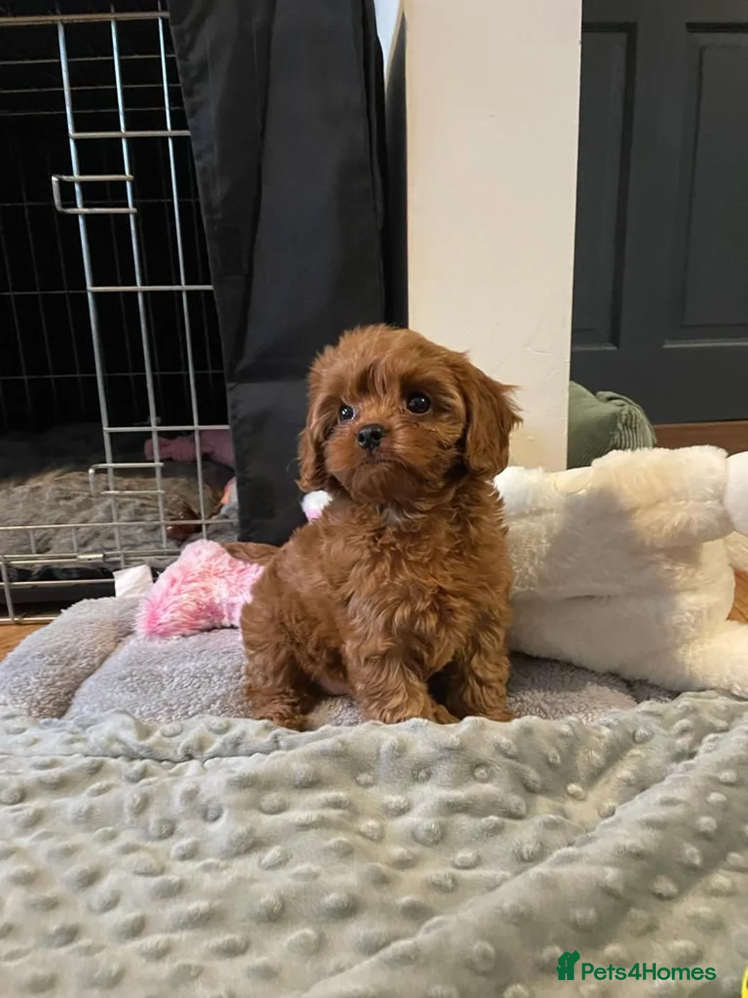 Gallery Image {{count}}