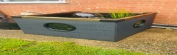 Goldfish fish for sale: Blagdon fish pond  - Advert 1