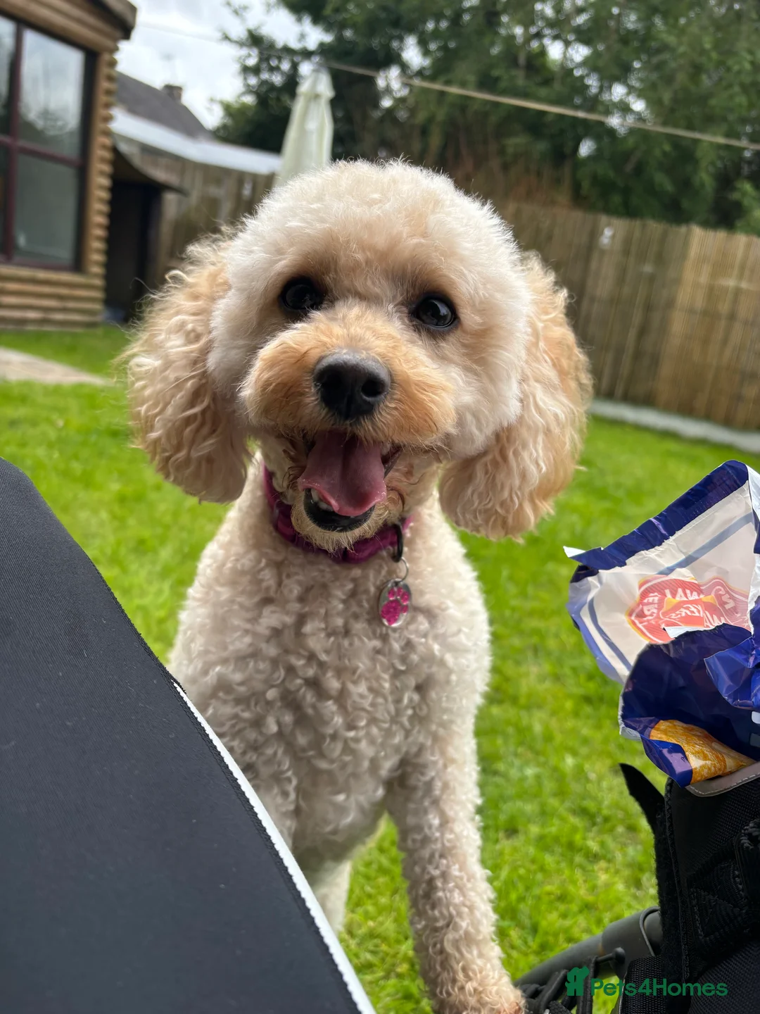 Gallery Image {{count}}