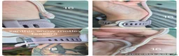 Corn Snake reptiles for sale: REDUCED PRICE Baby corn snakes ready now  - Advert 14