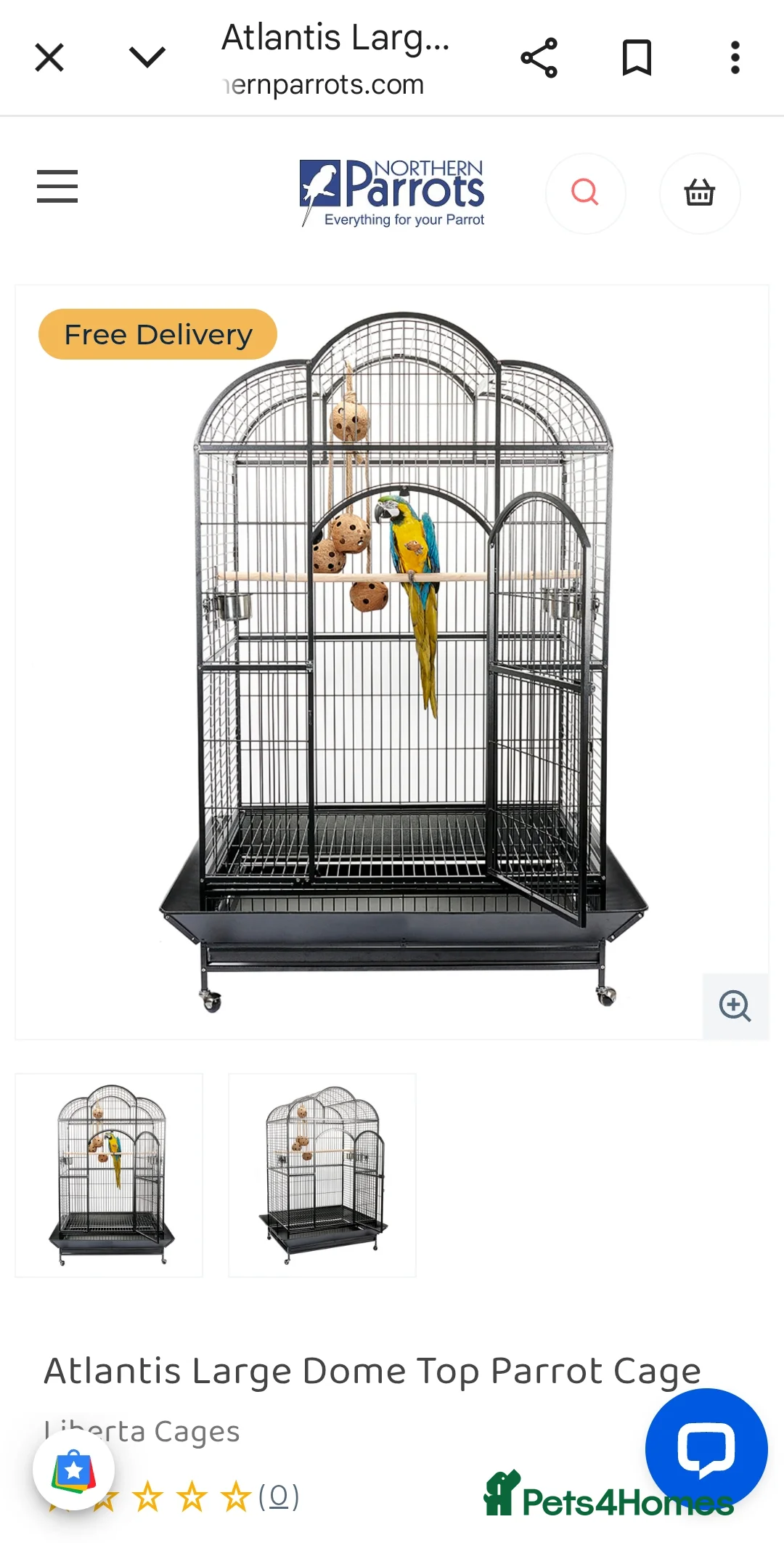 Macaws birds for sale: B&G Macaw  - Advert 6