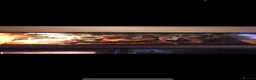 Boa Snake reptiles for sale: Boa snake and Vivarium  - Advert 2