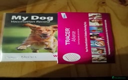 Miniature Dachshund dogs for sale: Miniature dachshund puppy - Image 7