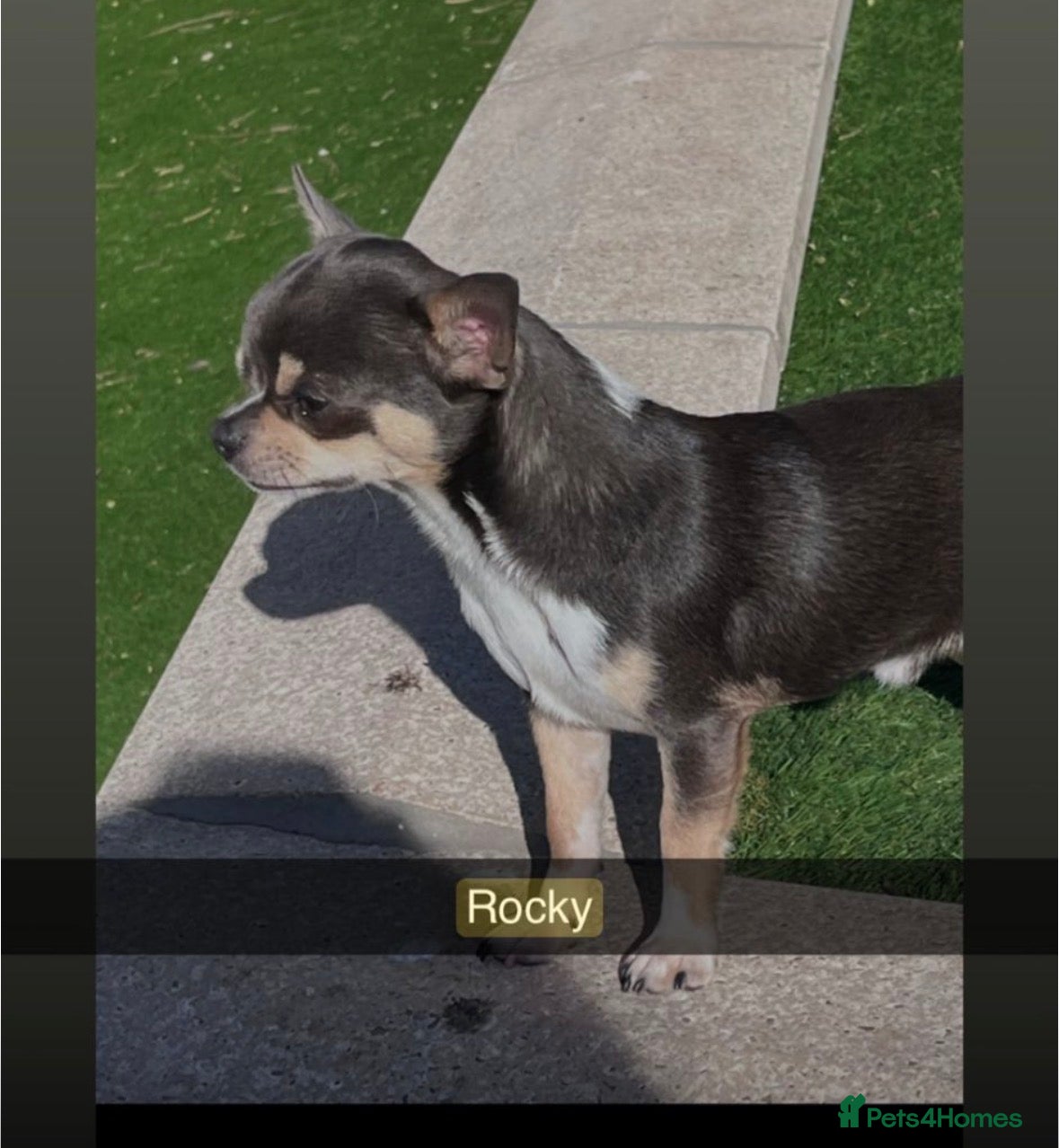 Rocky