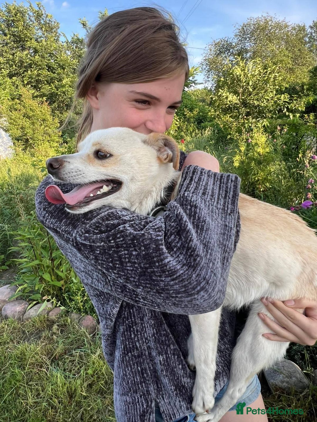 Mixed Breed dogs for adoption: 💖🐶 JULIET 🐶💖 - Image 12