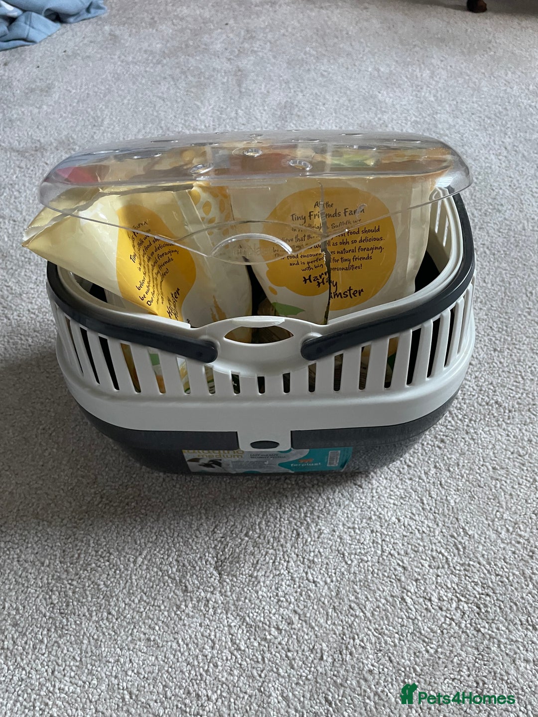 Gerbil rodents for sale: Two female gerbils  - Image 5