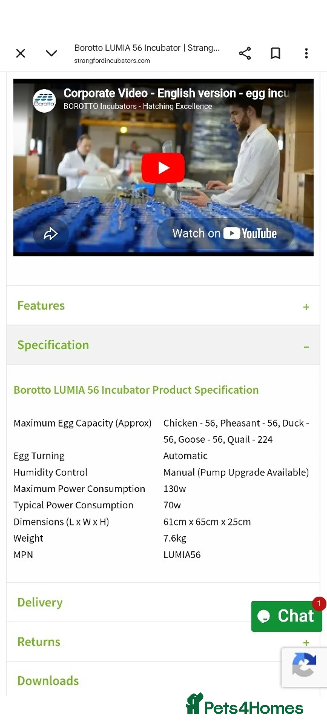 Mixed Breed birds for sale: Borotto Lumia 56 INCUBATOR  - Advert 6