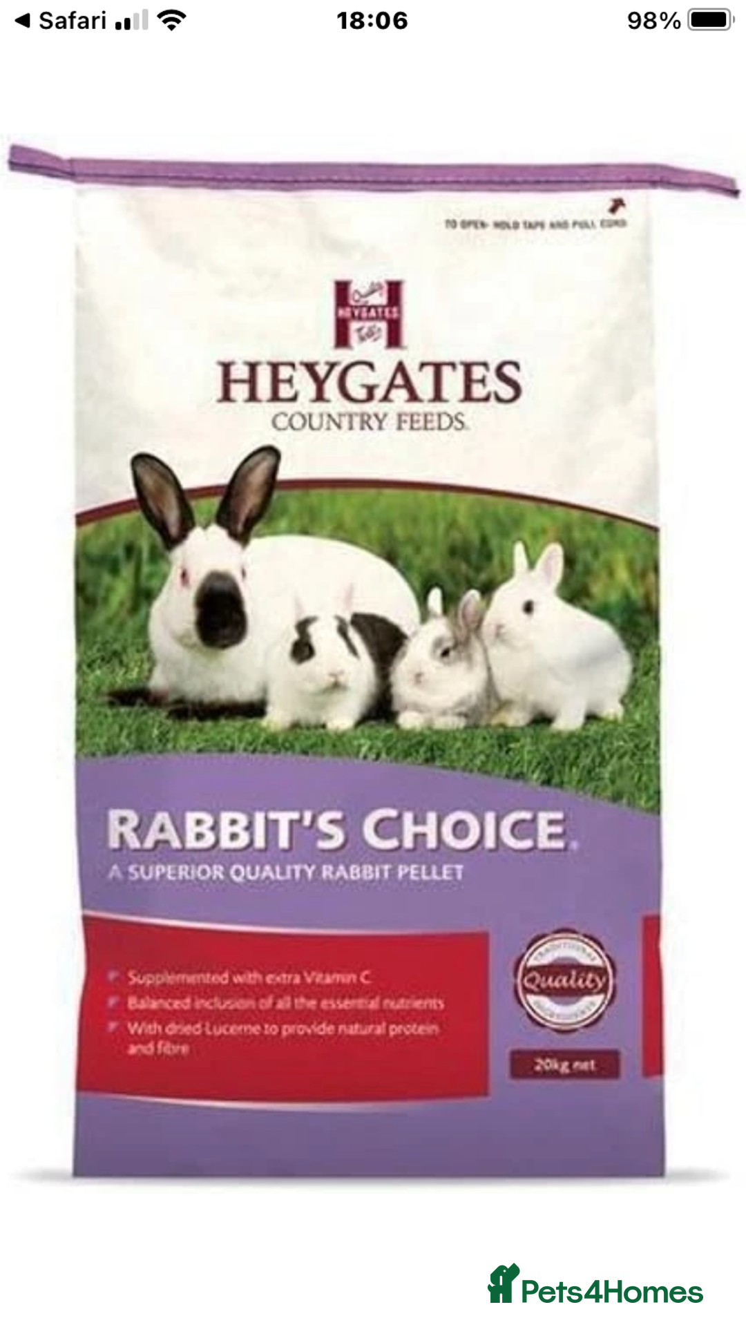 Mini Lop rabbits for sale: Beautiful mini lop bunnies - Image 14