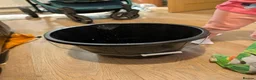 Tetras fish for sale: Well Established Fluval Fish Tank in Runcorn - Advert 17