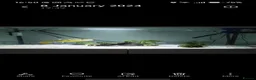 Pufferfish fish for sale: Fahacka puffer  in Houghton le Spring - Advert 1
