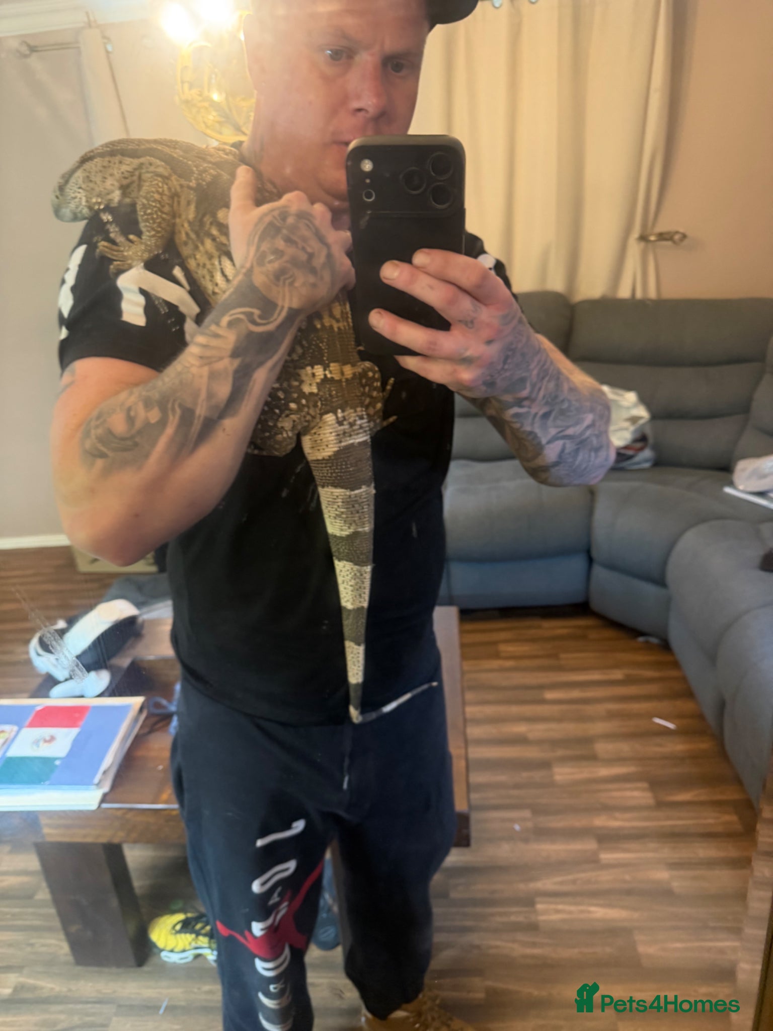 Dragon reptiles White throat moniter  - Advert 1