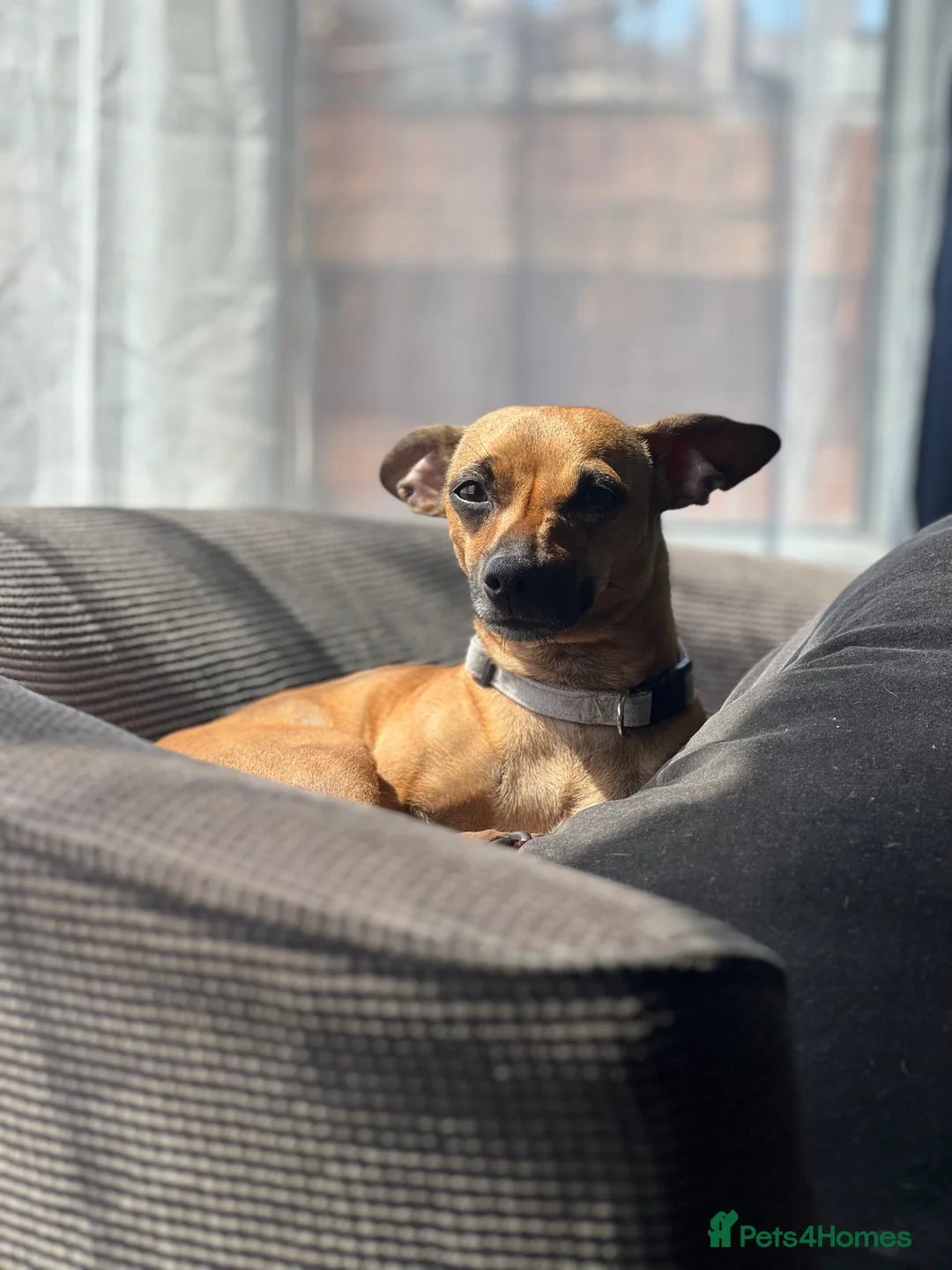 Gallery Image {{count}}