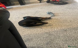 Rottweiler dogs for sale: Selling an 11 weeks old Rottweiler puppy. - Advert 7