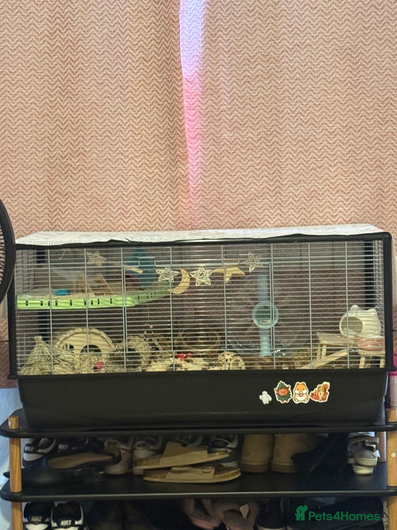 Hamster rodents Syrian Hamster & Cage for sale  - Advert 1