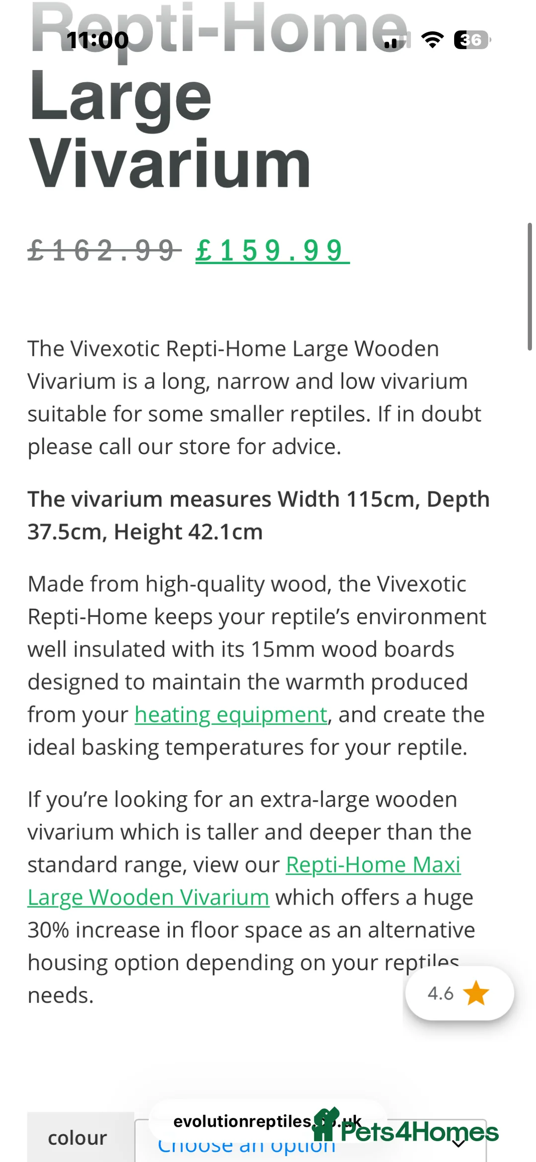 Bearded Dragon reptiles for sale: Female bearded dragon  in Stroud - Advert 5