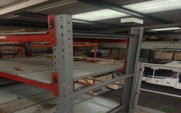 Jack Russell dogs for sale: Jack Russell for loving home - Advert 11