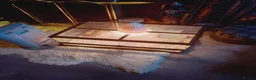 Python Snake reptiles for sale: BALL PYTHON SNAKE - Advert 2