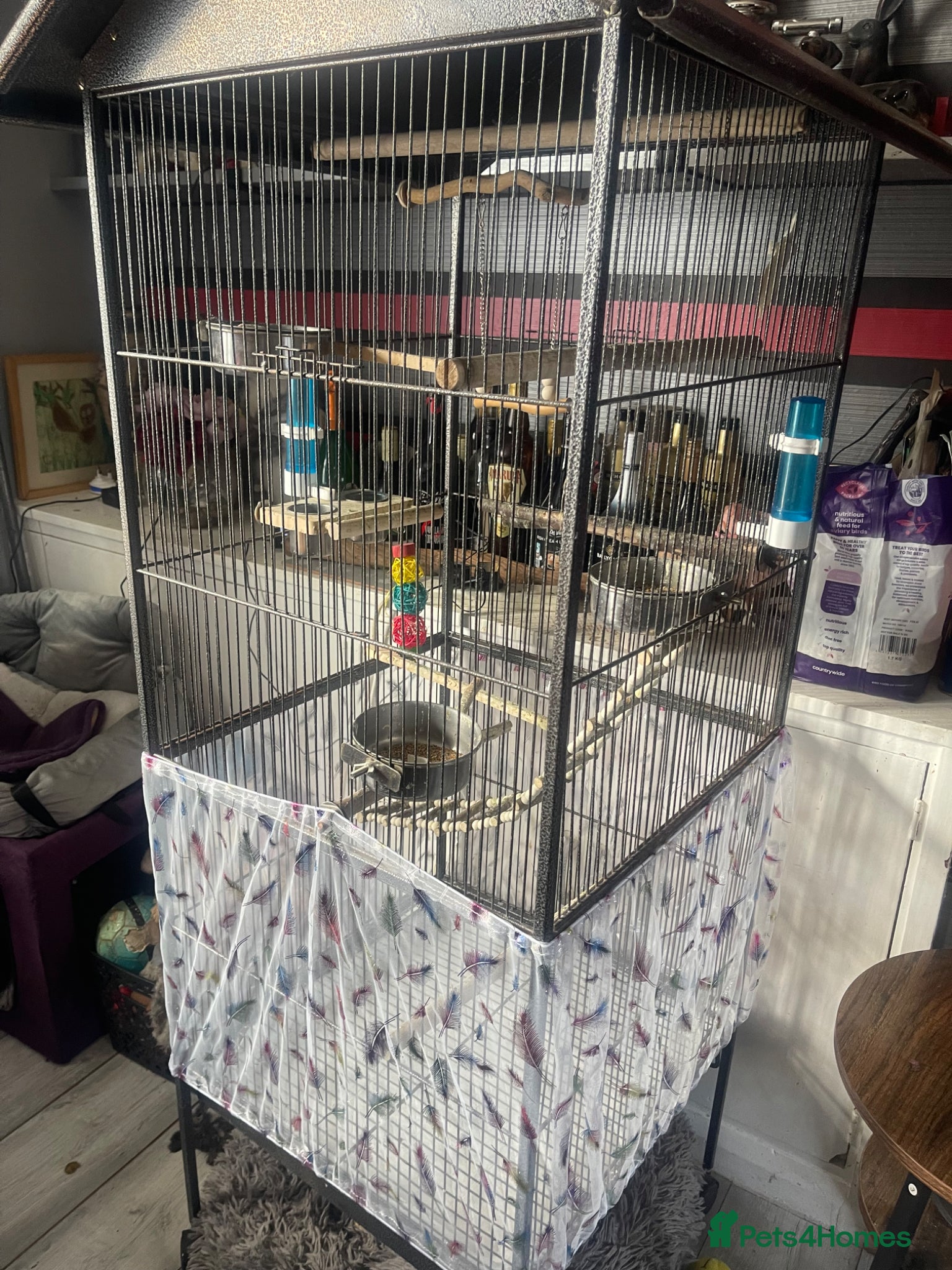 Cockatiels birds Large bird cage  - Advert 10