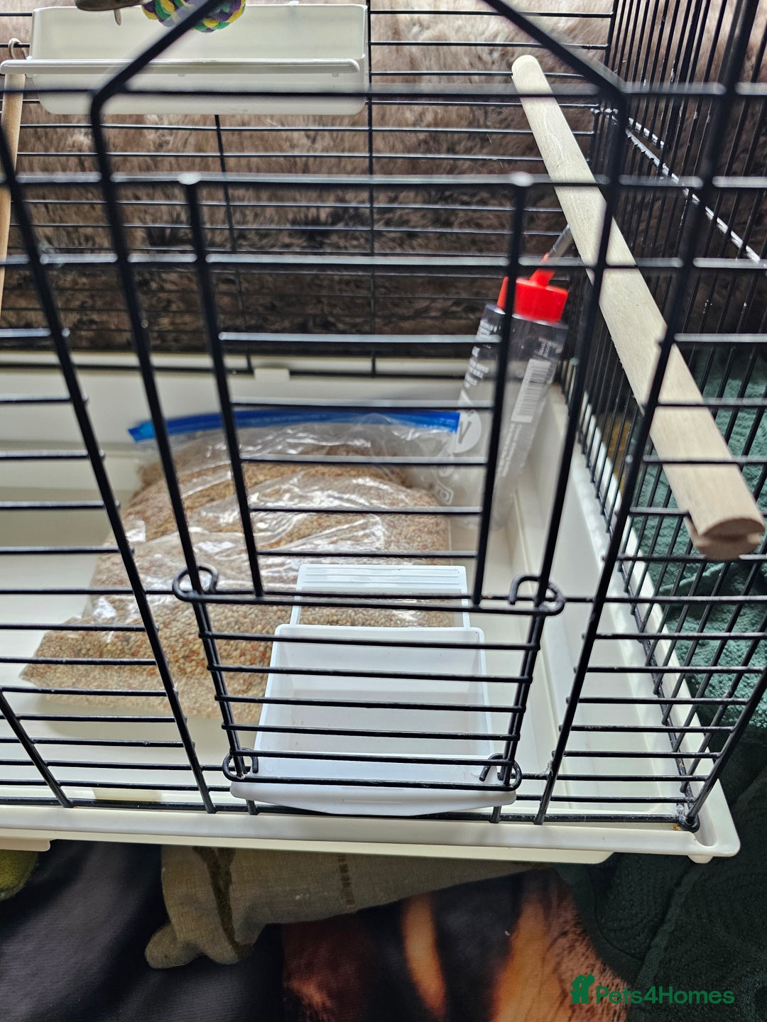 Budgerigars birds for sale: Medium bird cage - Image 2