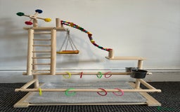 Mixed Breed birds for sale: Large bird cage - Image 3