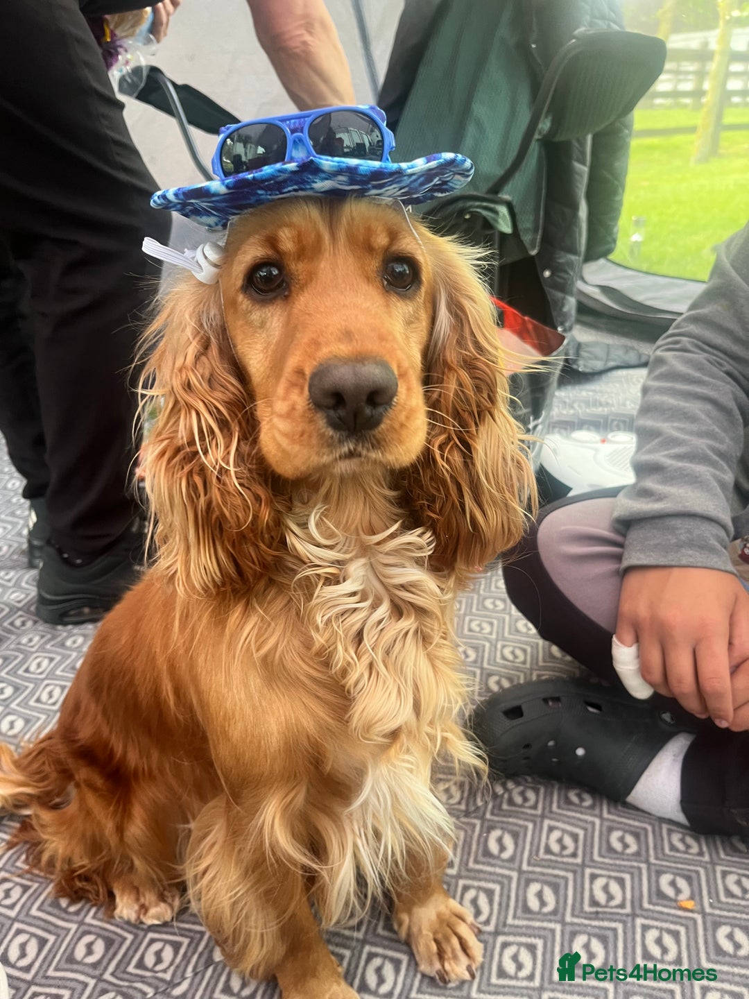 Gallery Image {{count}}