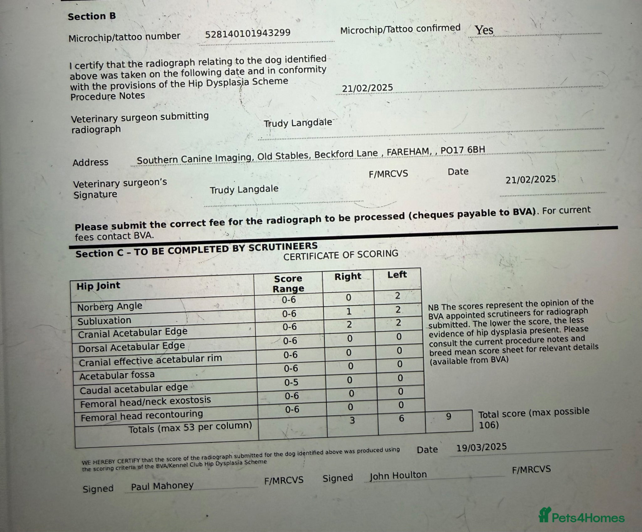 Bernedoodle dogs Health tested miniature bernedoodles - Advert 2