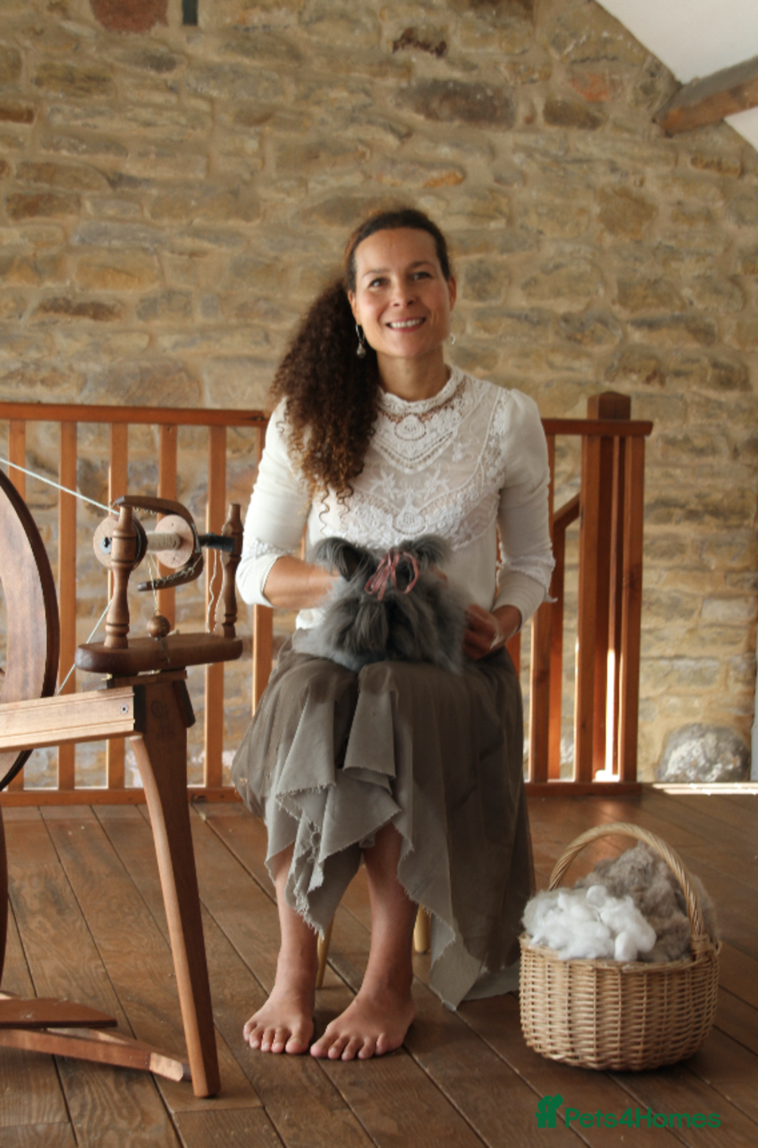 Angora rabbits for sale: ✻ Stunning Pure Bred Angora Rabbits ✻ - Advert 14