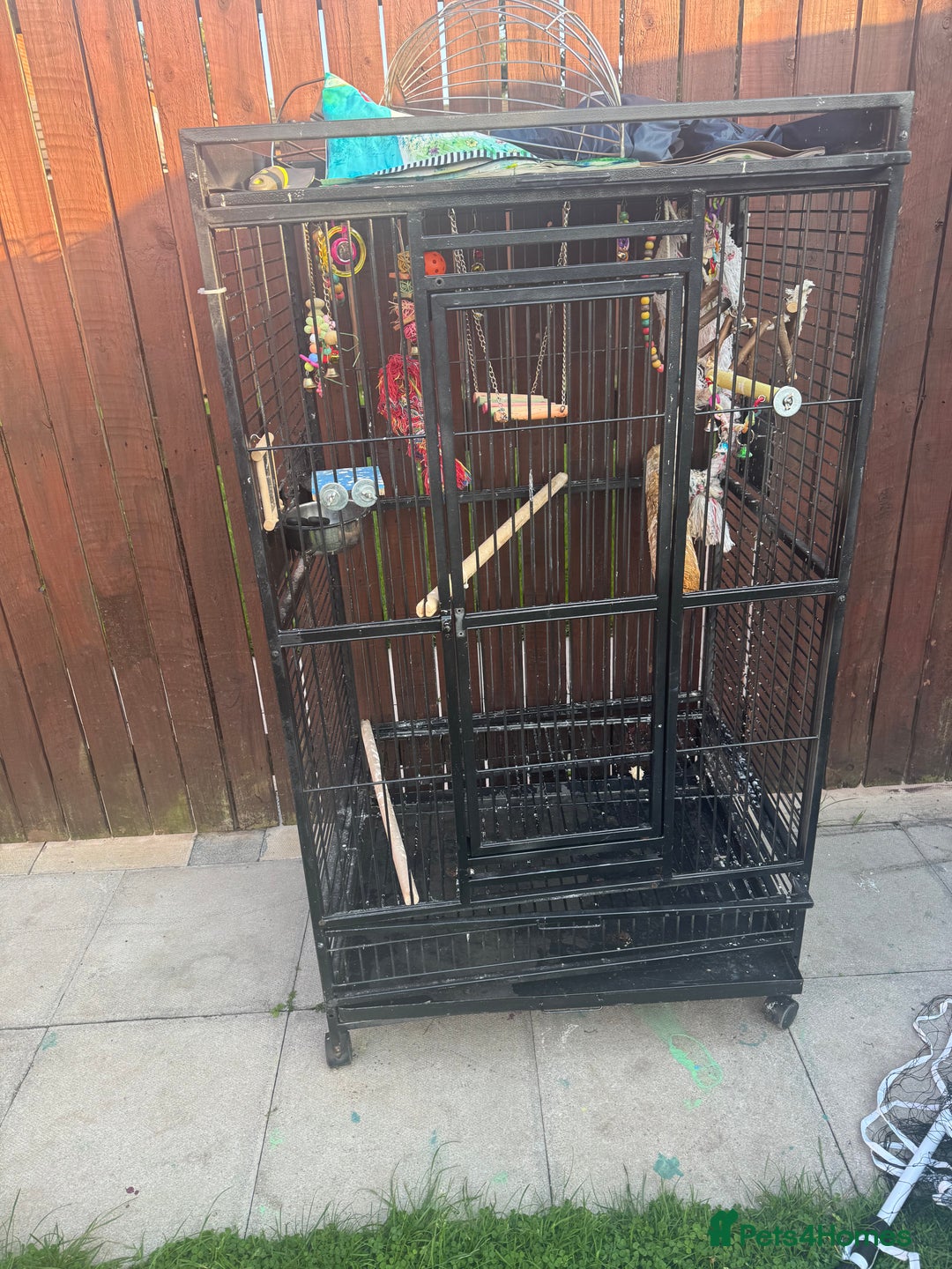 Mixed Breed birds for sale: Bird cage  - Image 1