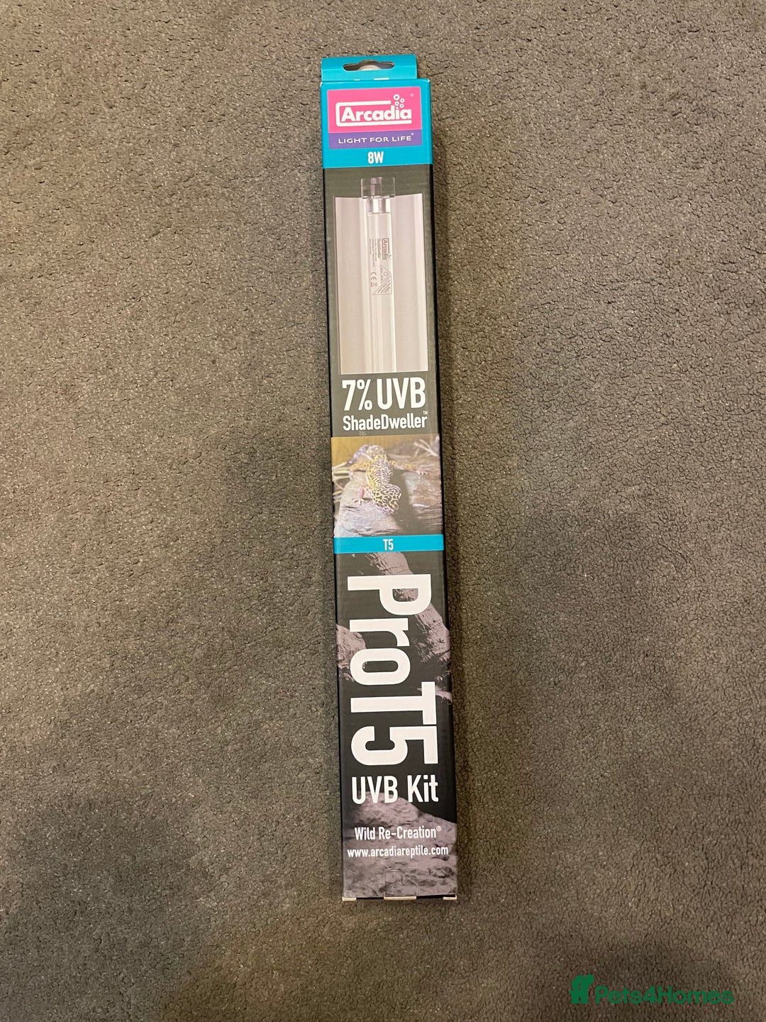 Gecko reptiles for sale: Crested Gecko, full set up, ready to go. - Advert 10