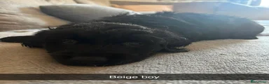 Beige boy 