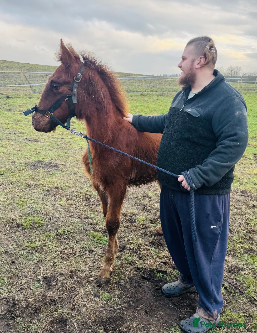 Mixed Breed dogs for sale: Hshehdbxhejdbdbd dhdhdbdhhdbdndjjdbdbdhdhdhhdhdhhd - Advert 1