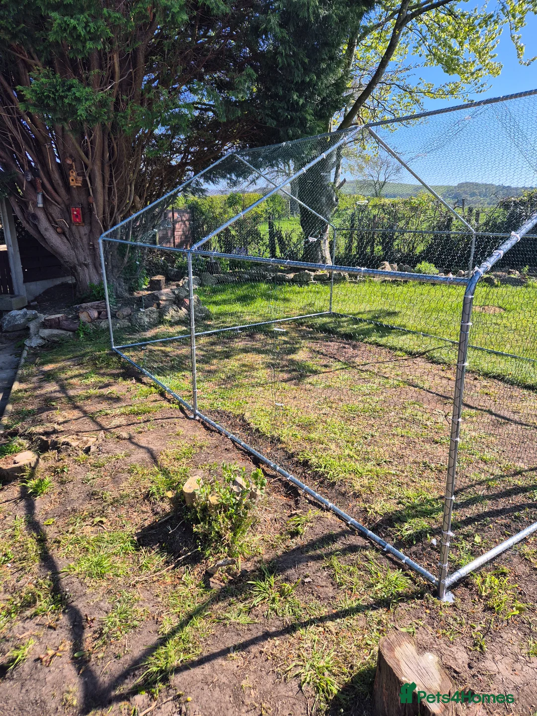 Chickens poultry for sale: Chicken run in Preston - Advert 2