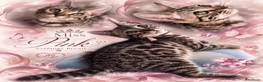 Miss pink 