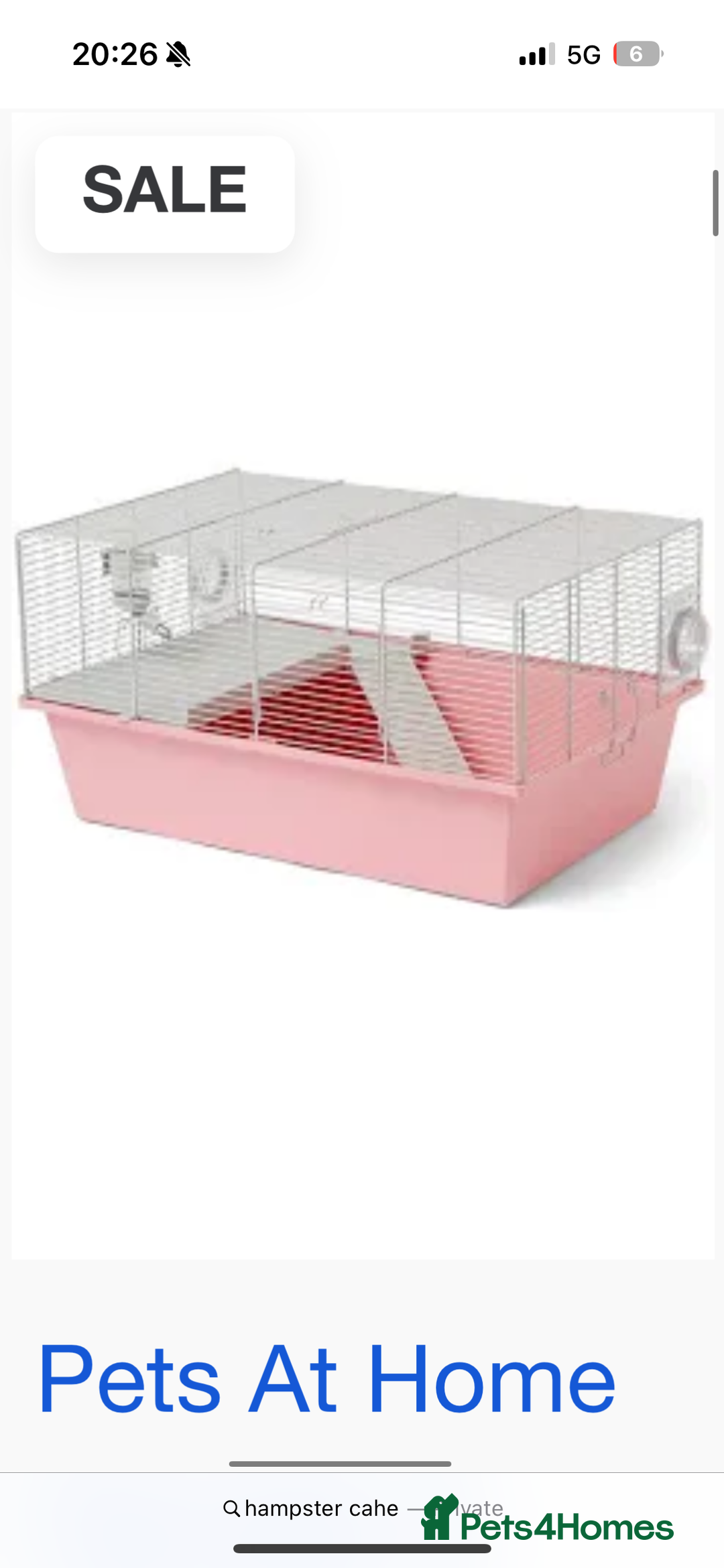 Hamster rodents for sale: Dwarf hamster  - Image 3