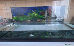 Other/Mixed Breed fish for sale: 60ltr Fishtank with Accessories Only - Image 15