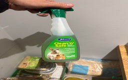 Gerbil rodents for sale: Two male gerbils to be rehomed asap - Image 6