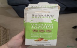 Mini Lop rabbits for sale: Mini Lop for a good home 🥰 - Image 20