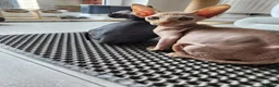 Sphynx cats for sale: Have 3 beautiful Canadian Sphynx - Advert 16
