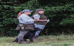 Labrador Retriever dogs for stud: FTCH sired superb lines absolute gent  in Droitwich - Image 28