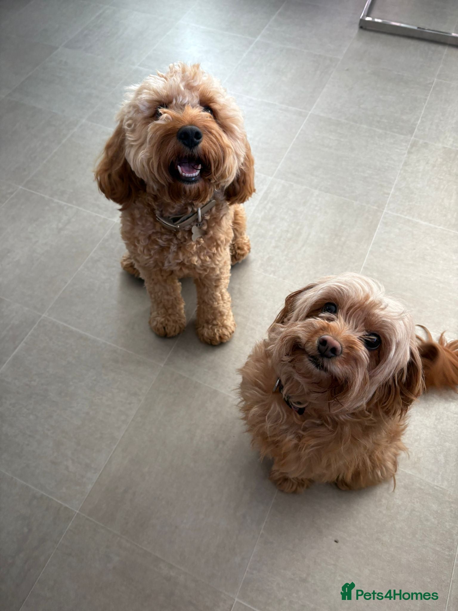 Copper