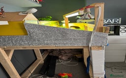 Tortoise reptiles for sale: Horsefield Tortoise - Image 9