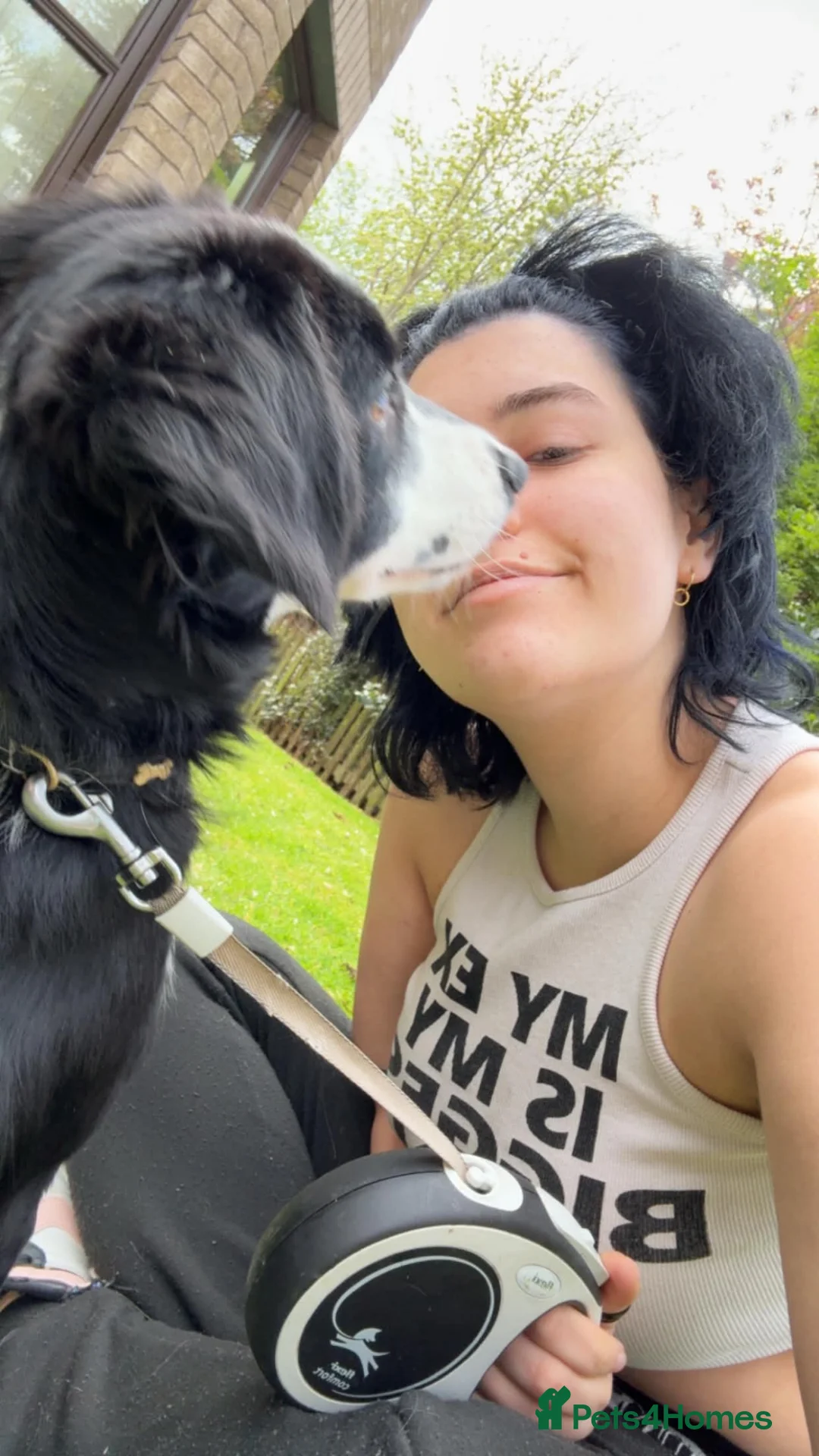 Mixed Breed dogs for sale: Mochi - 7 Month Old Collie/Cocker Mix Girl  - Advert 5